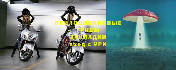 2c-b Мегион