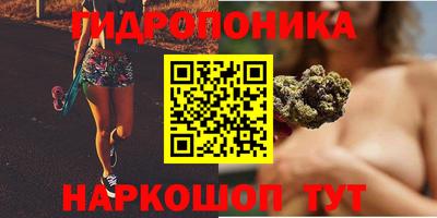 тгк Гусь-Хрустальный