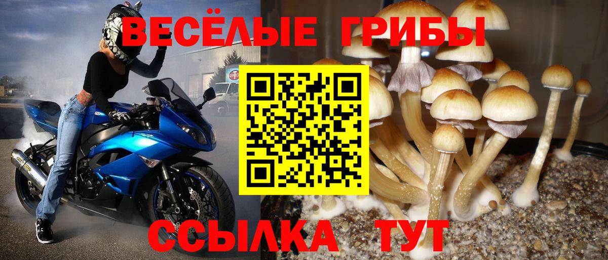 Псилоцибиновые грибы ЛСД Лысьва